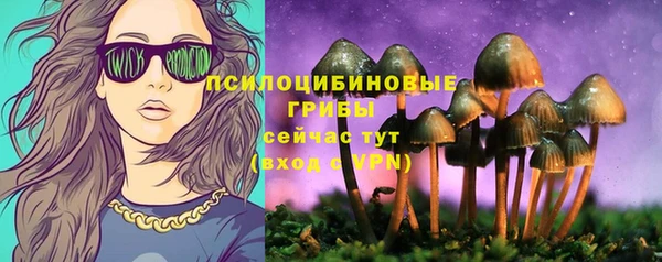 PSILOCYBIN Абдулино