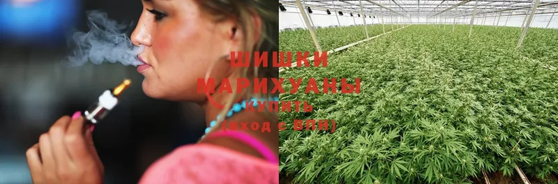 Бошки марихуана OG Kush  mega ТОР  Алагир 